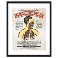 anatomy digestive system poster