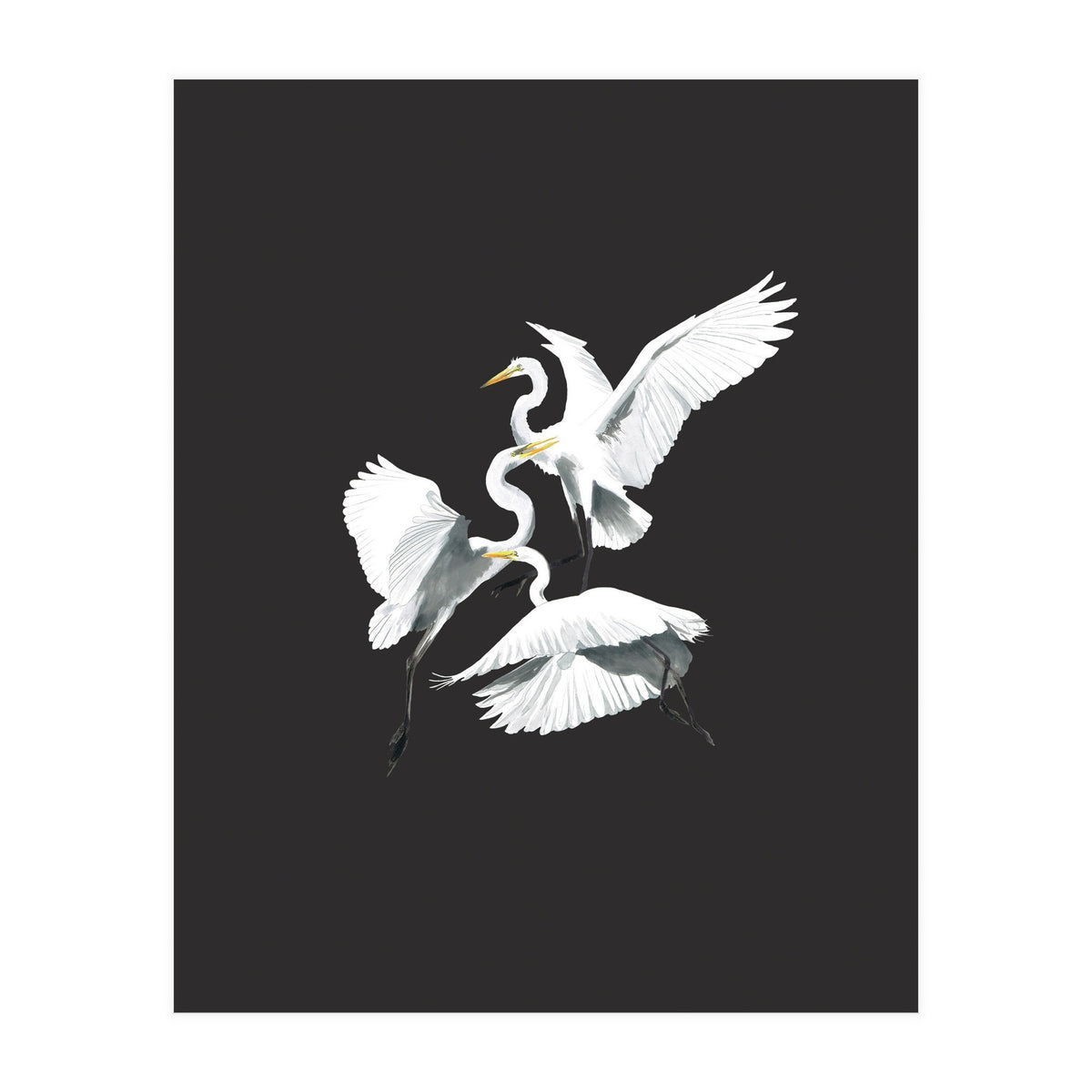 Three Heron Waltz (Print Only)