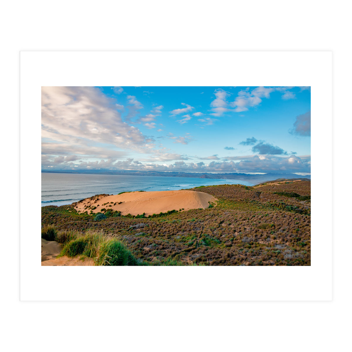 Coastal Sand Dune (Print Only)
