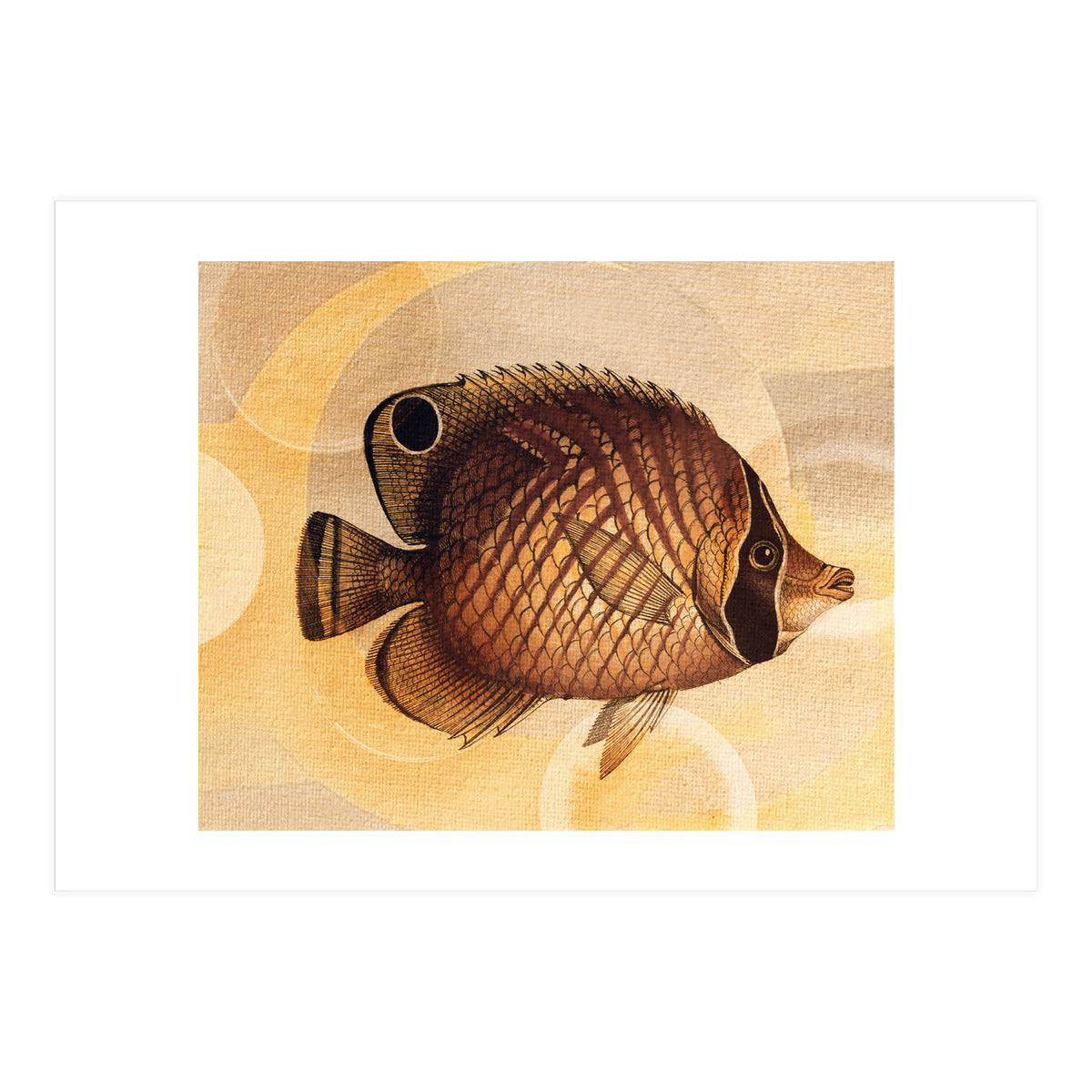 Fish Between Circles 3 (Print Only)