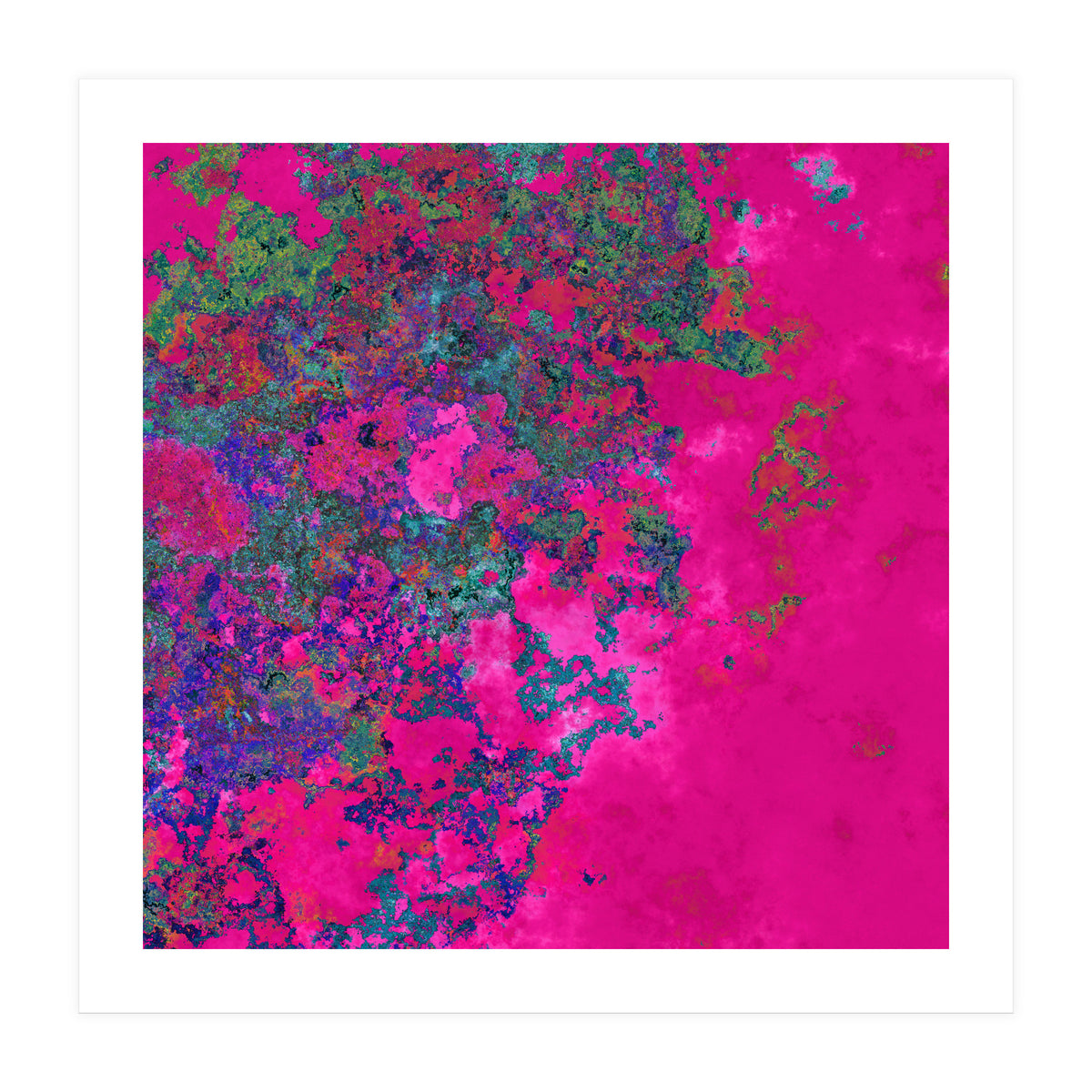 Fuchsia Dream (Print Only)