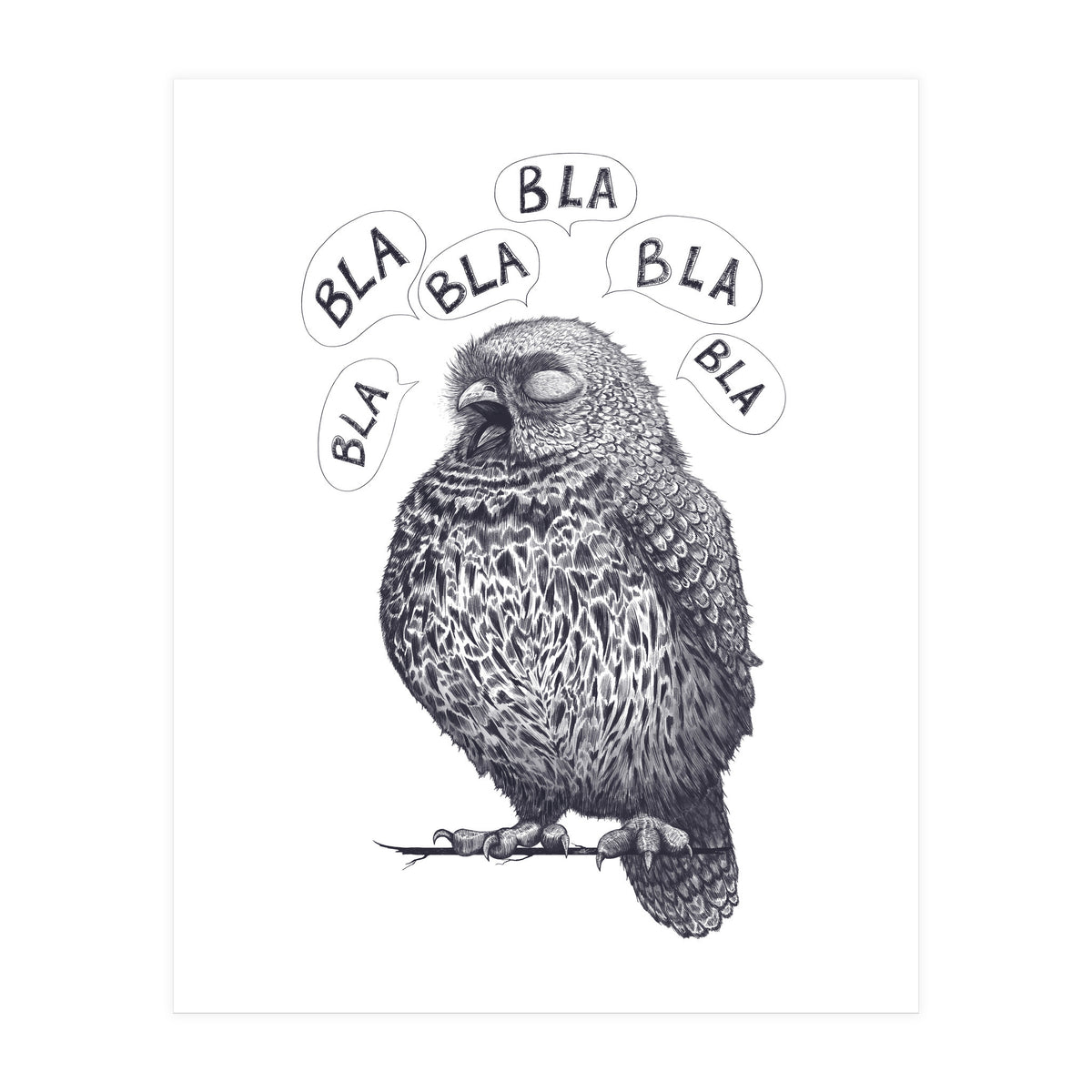 Owl Bla Bla Bla (Print Only)