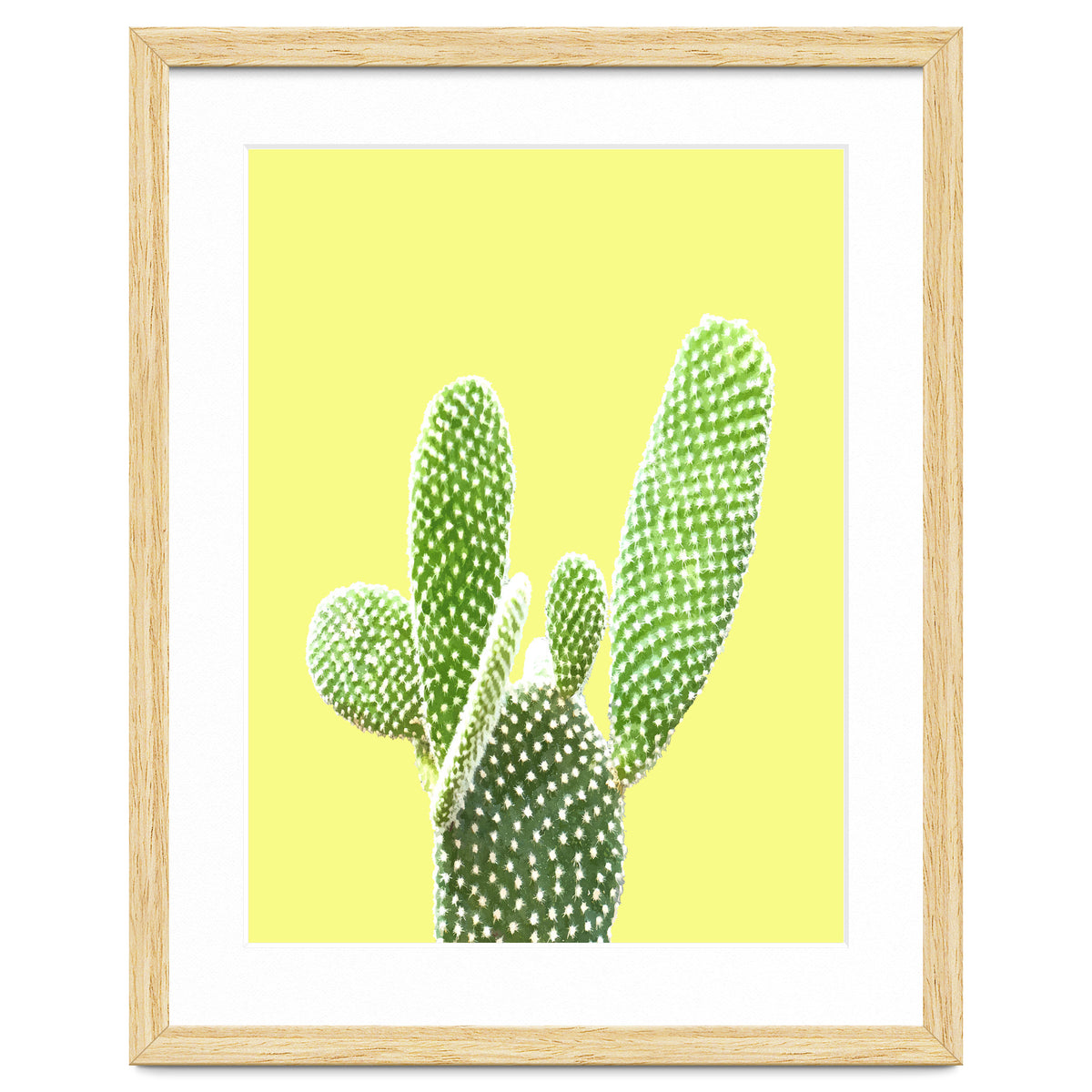 Cactus Yellow Background