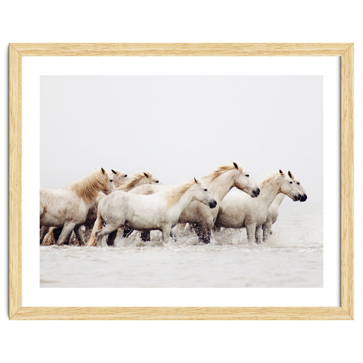 White Horses - Nature Photography