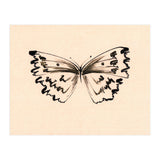 Butterfly (Print Only) thumbnail