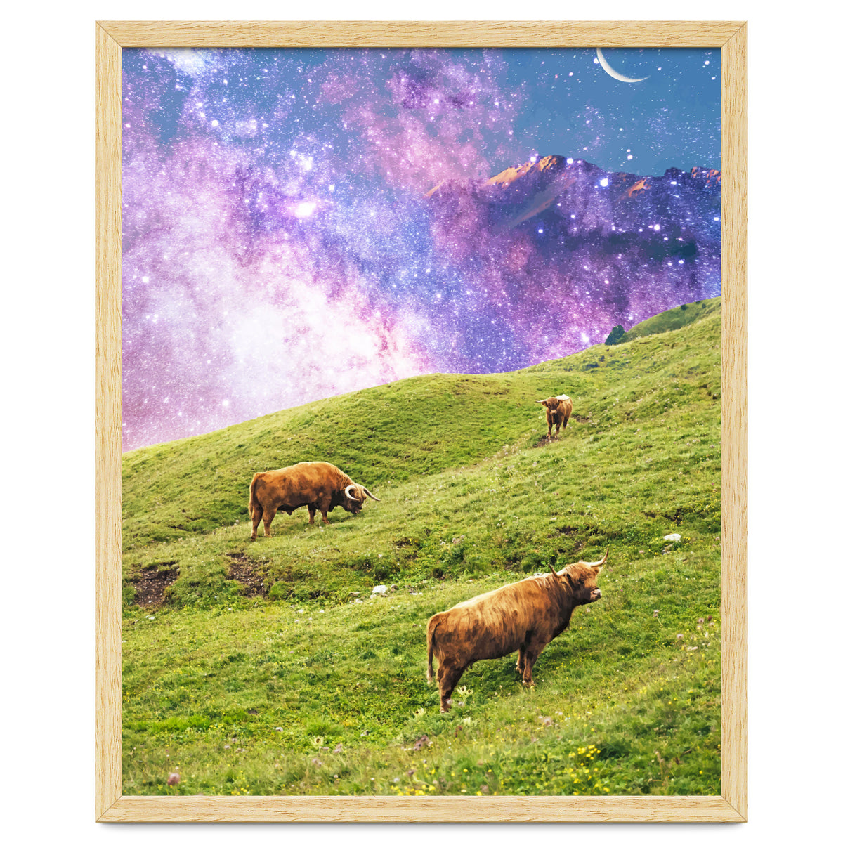 Space Cow Series II