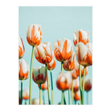 Estelle (Print Only) thumbnail