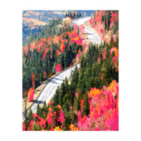 Valley of Pink Trees | Fantasy Pop of Color Forest Nature | Jungle Adventure Road Trip Pine (Print Only)