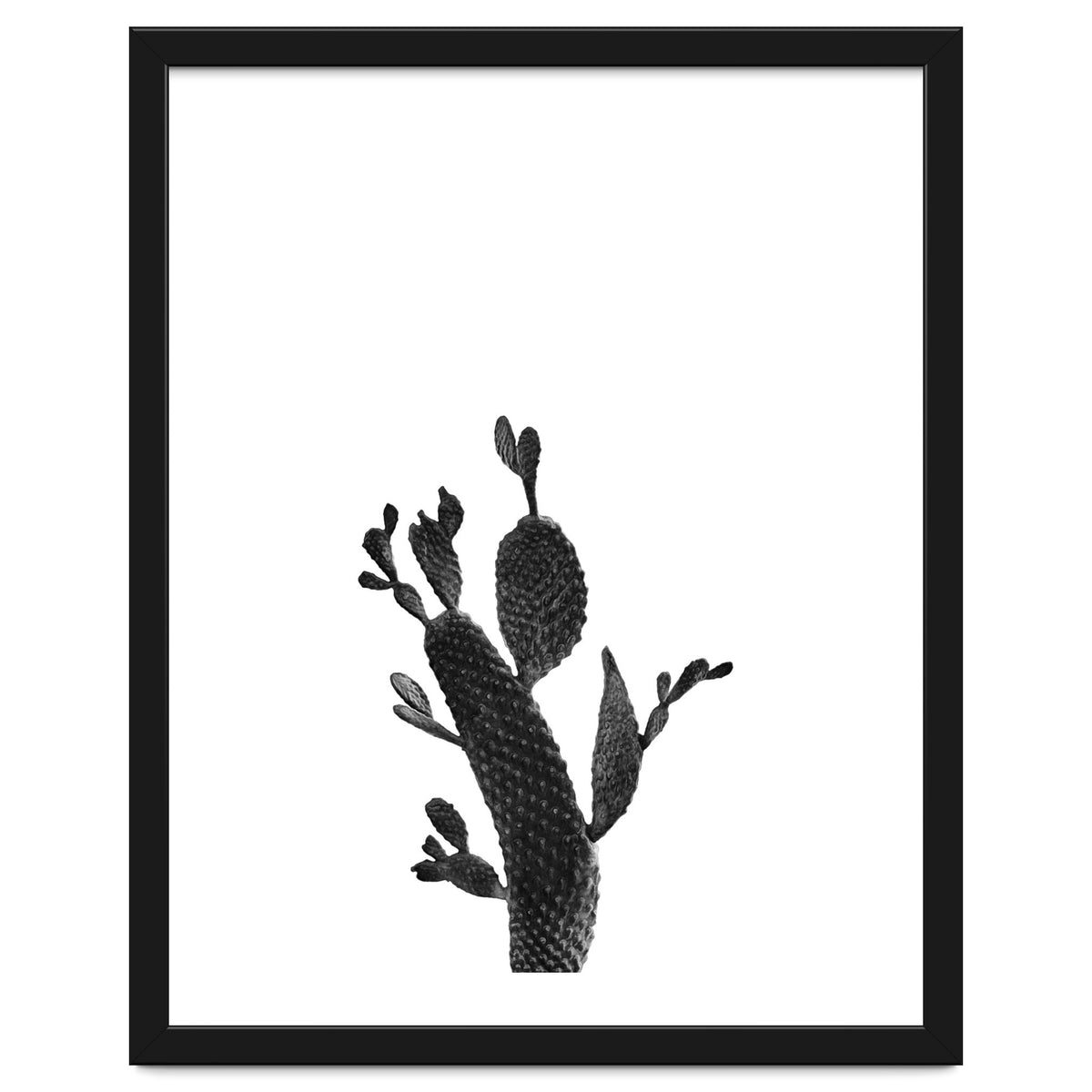Cactus Black And White 02