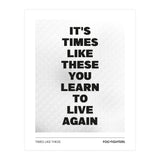 Foo Fighters - Times Like These (Print Only) thumbnail