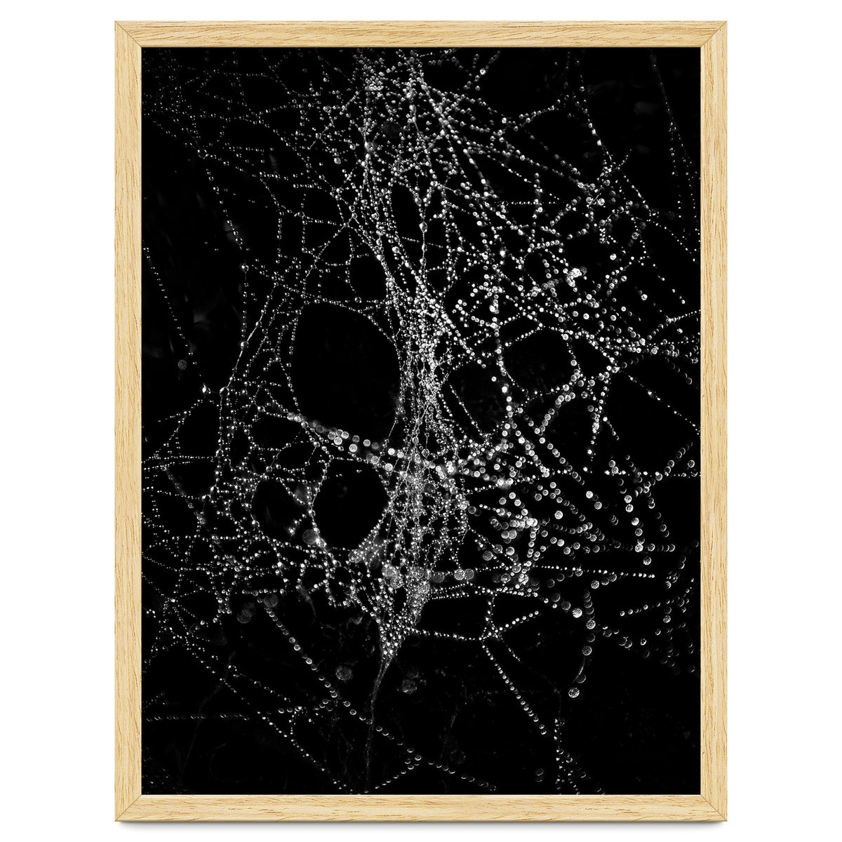 Spiderweb No 4