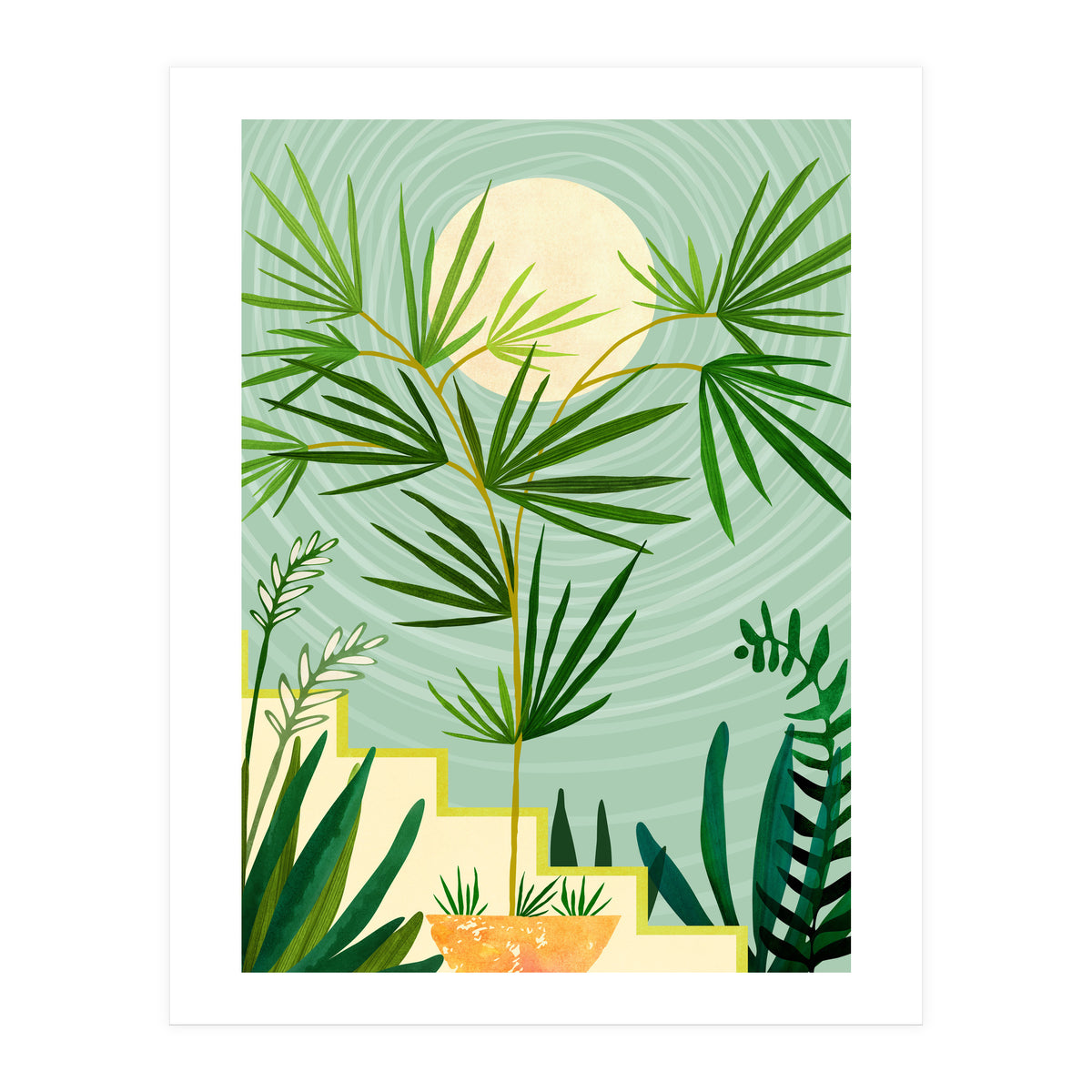 Spring Desert Night (Print Only)