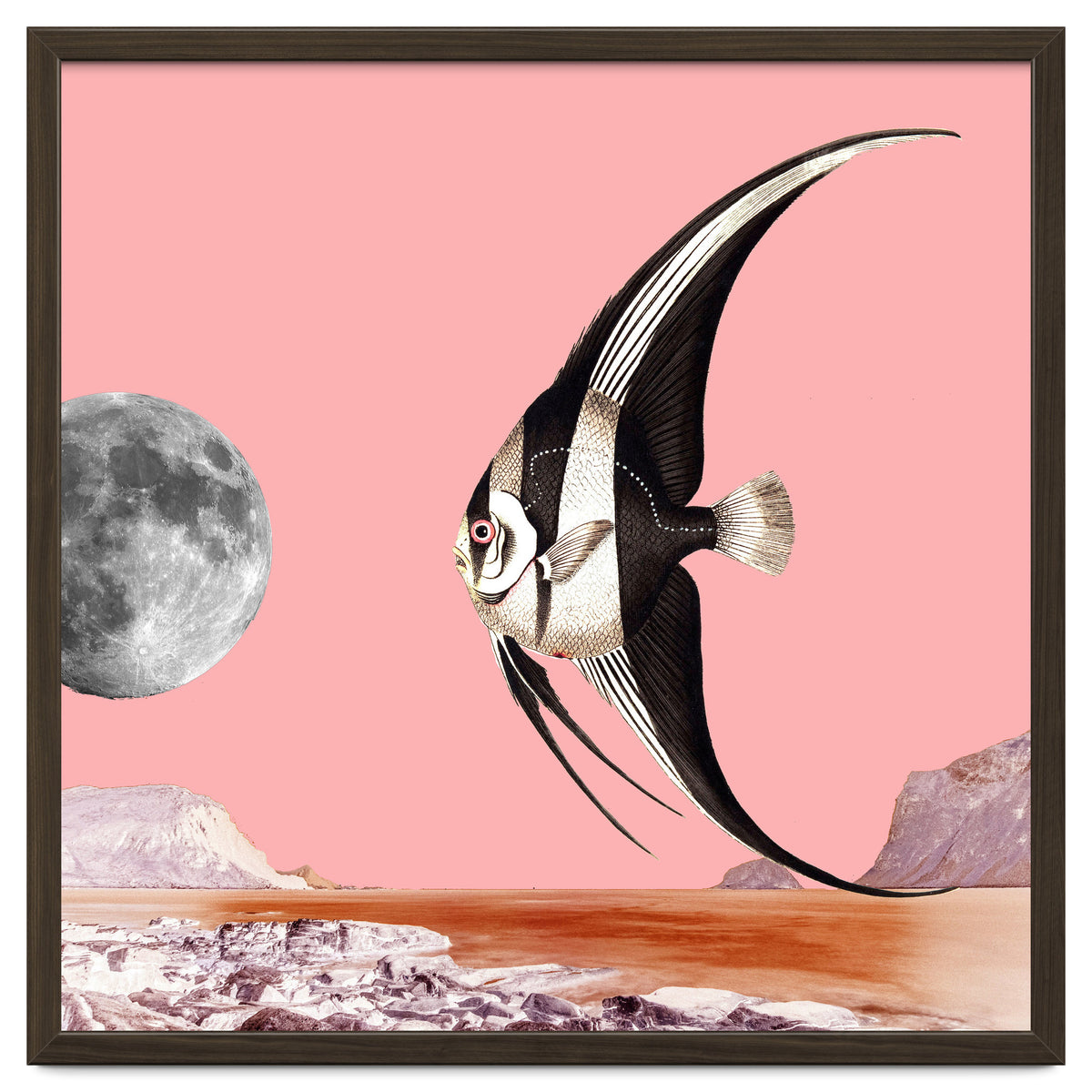 Plenty Of Fish In The Sea Pink