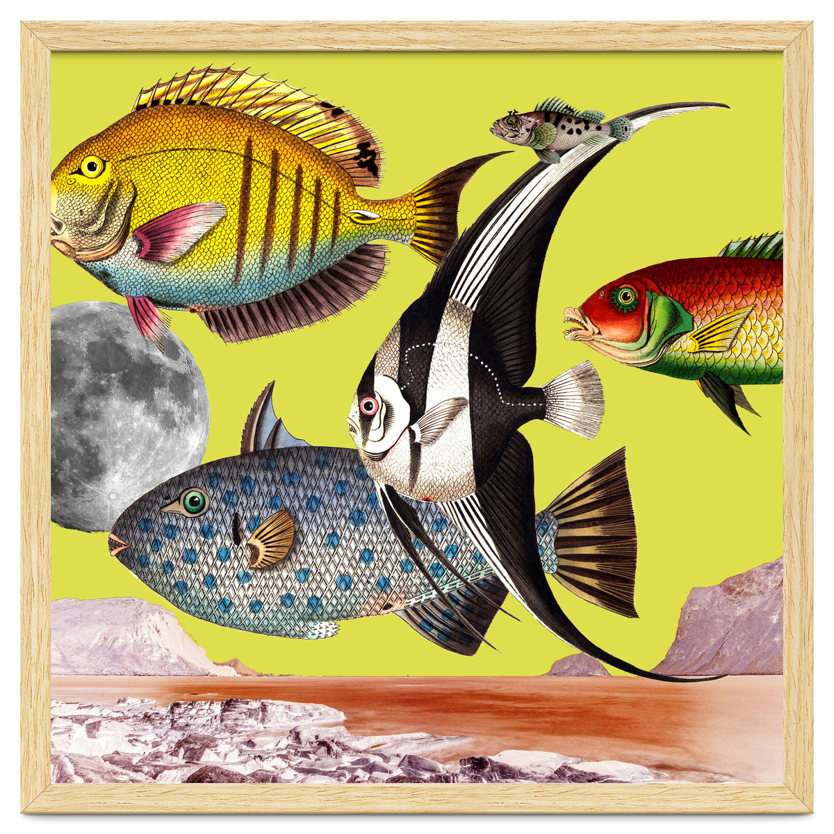 Plenty Of Fish In The Sea Yellow