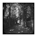Alley to a cemetery (Print Only) thumbnail