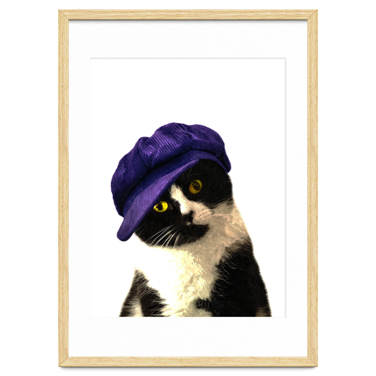 Cat Blue Hat