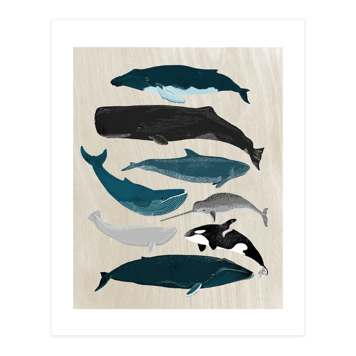 Whales (Print Only)