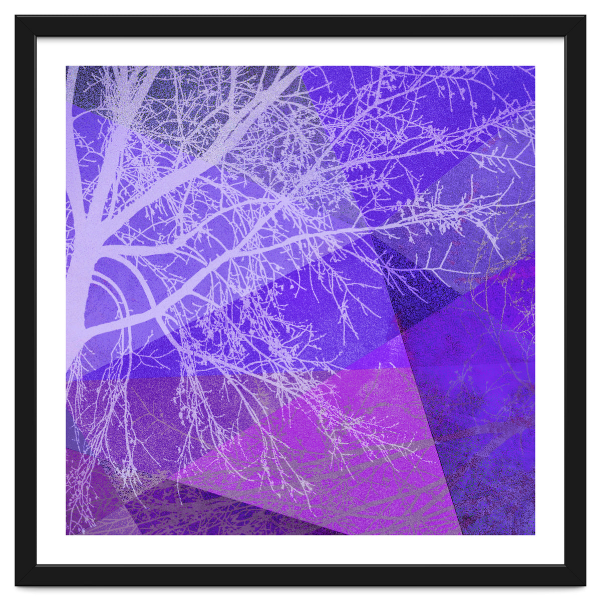 P19-D2 Trees and Triangles