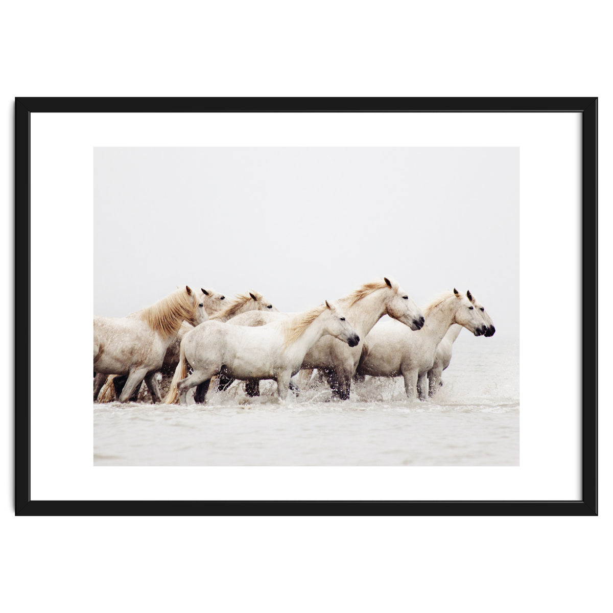 White Horses - Nature Photography