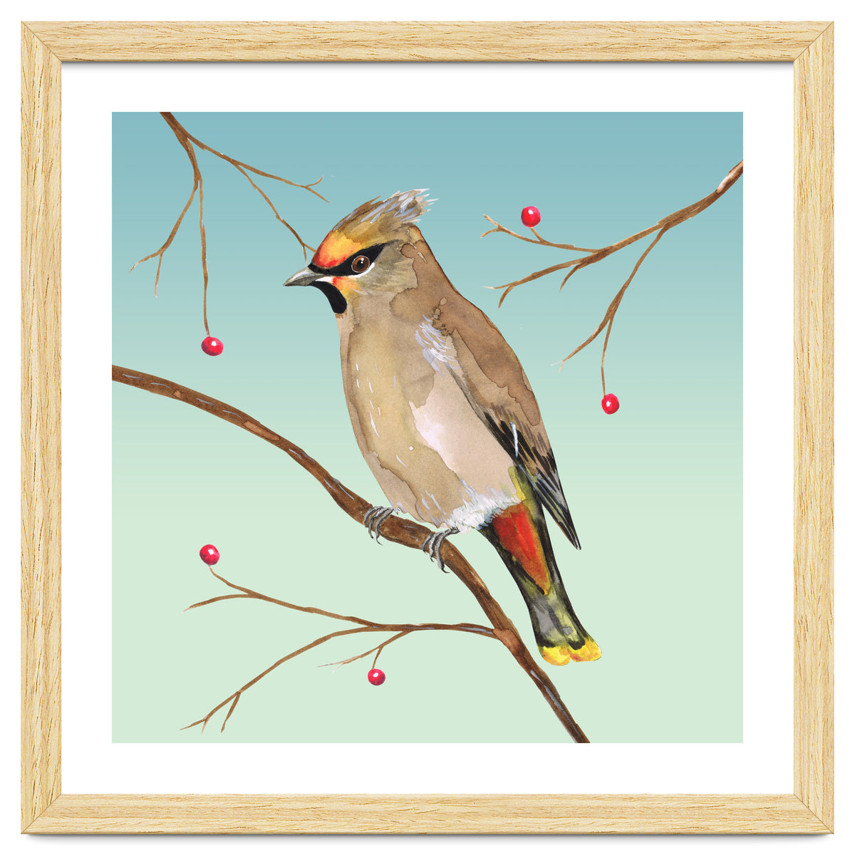 Bohemian waxwing