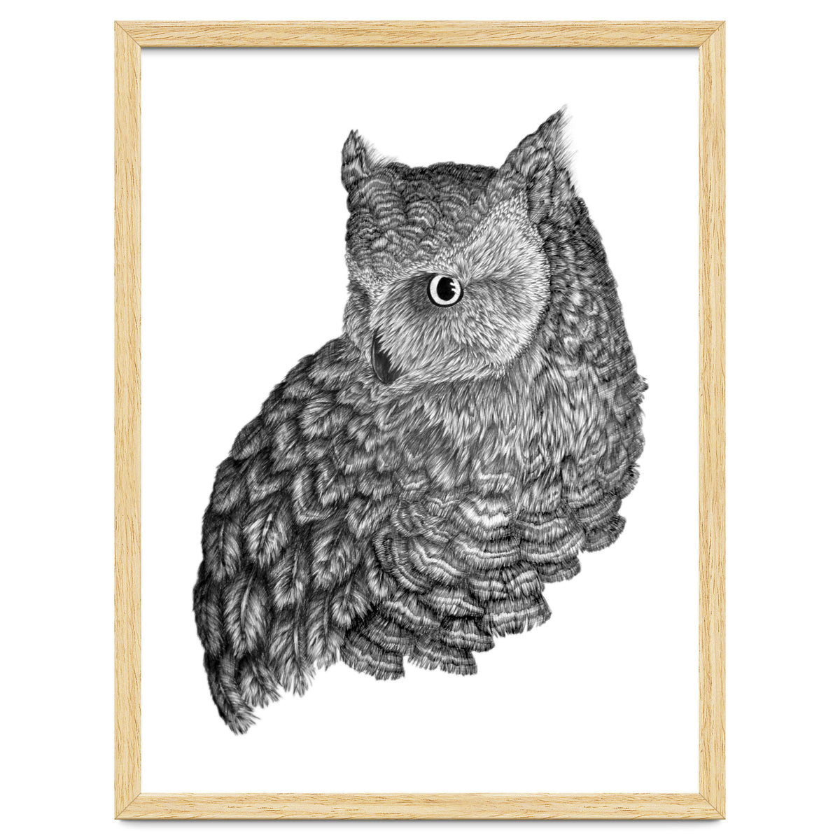 A Friend For Forsythe