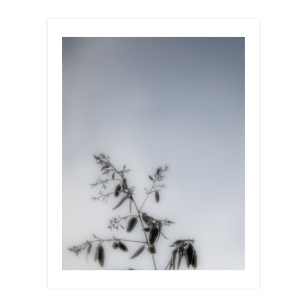 Forgotten Memories of Summer #17 (Print Only)