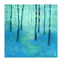 Bluebells, Challock (Print Only)