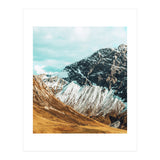 Carter (Print Only) thumbnail
