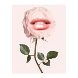 Glossy Rose (Print Only) thumbnail