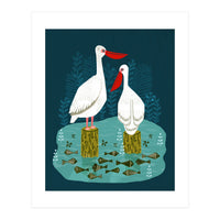 Pelicans (Print Only)