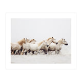 White Horses - Nature Photography (Print Only) thumbnail