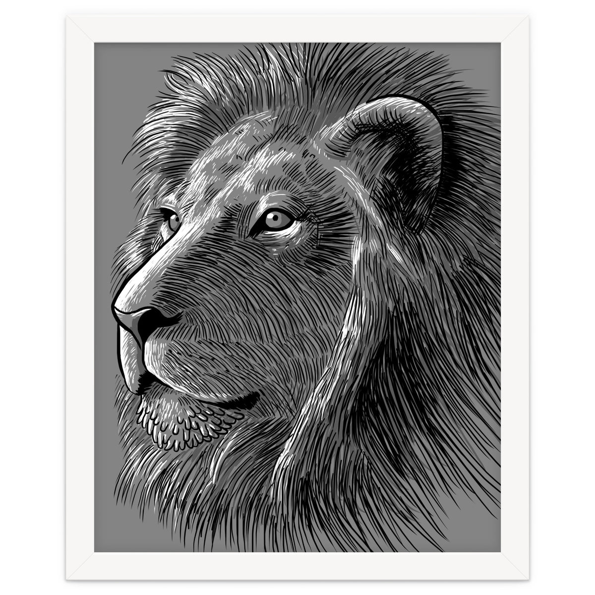 Sketch Lion