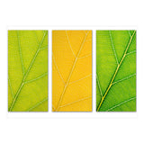 Autumn Leaves (Print Only) thumbnail