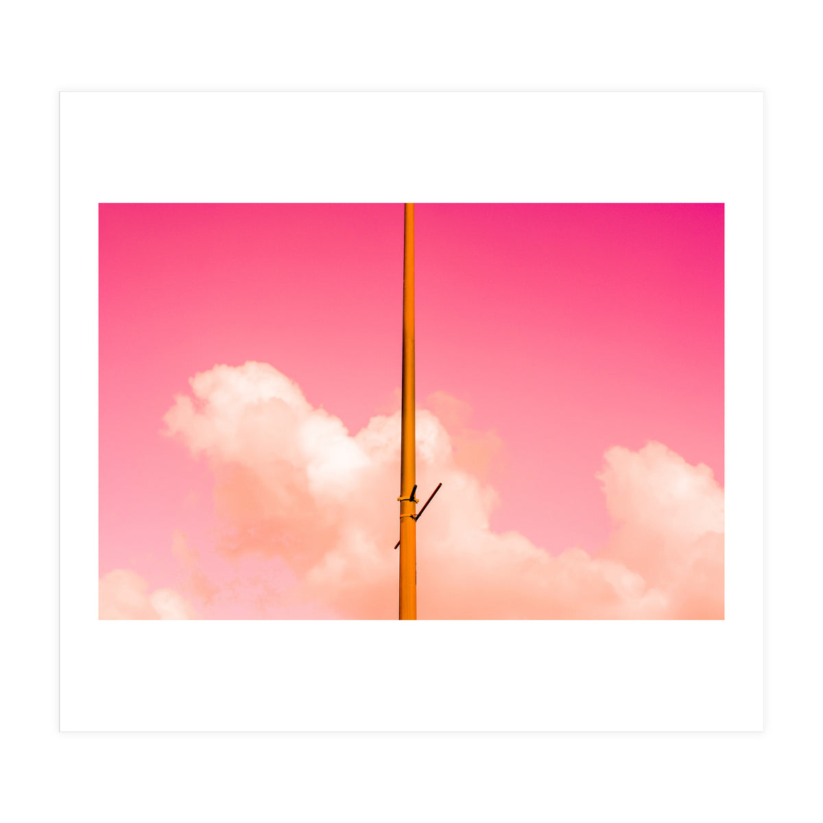 The Pink Half (Print Only)