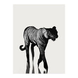 Tiger  (Print Only) thumbnail