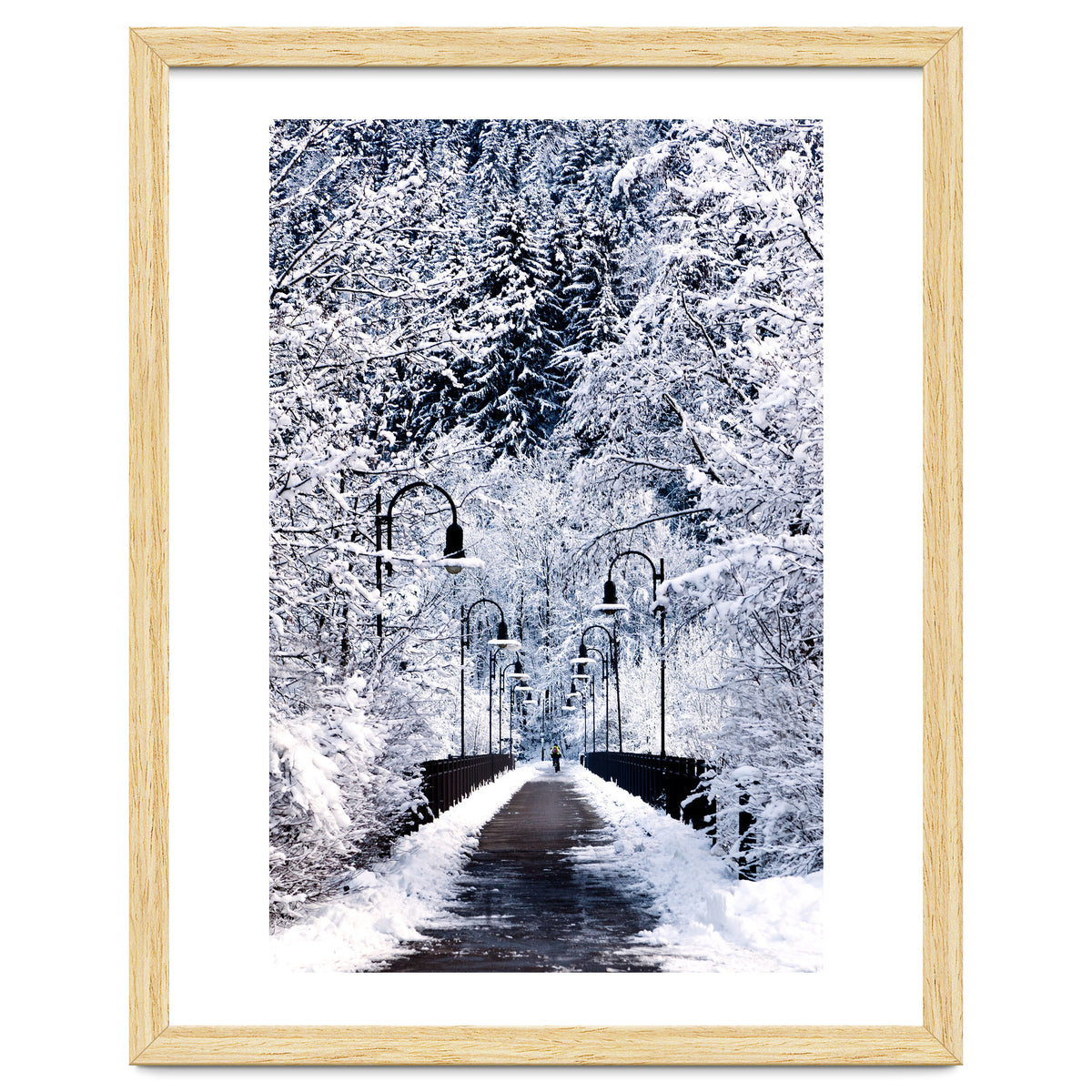 Snowy Bridge