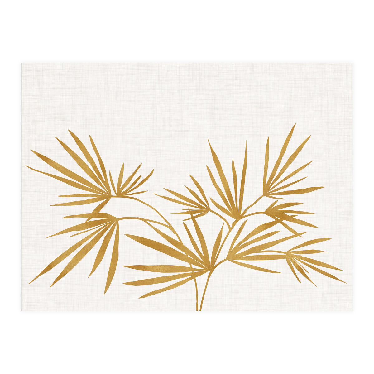Golden Fan Palm (Print Only)