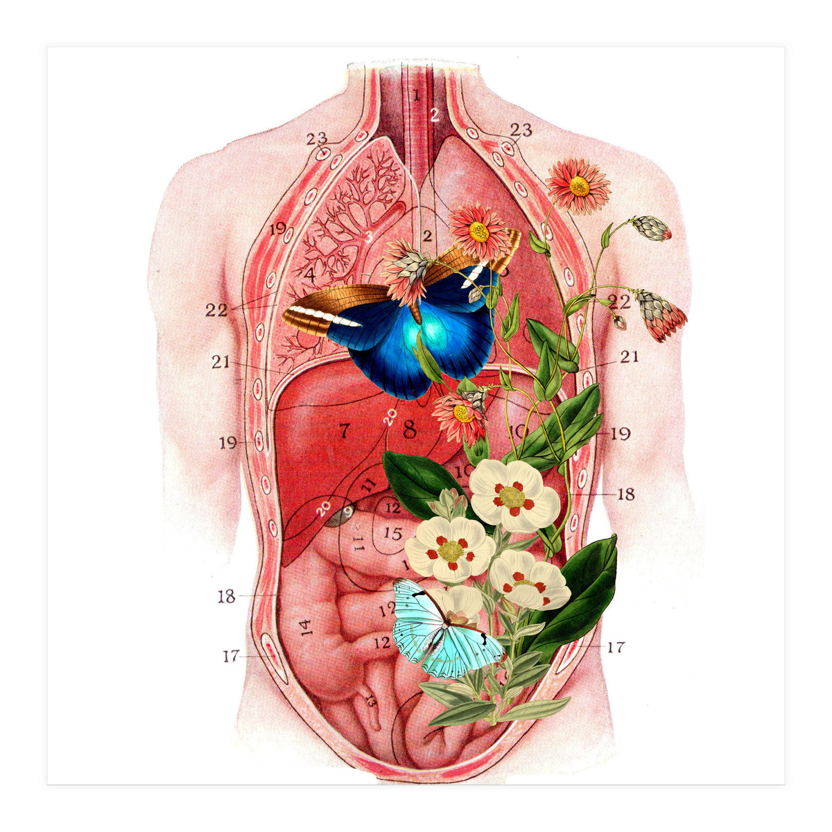 Butterflys In The Belly Makes Flower Grows (Print Only)