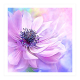 Wispy Purple Anemone (Print Only) thumbnail