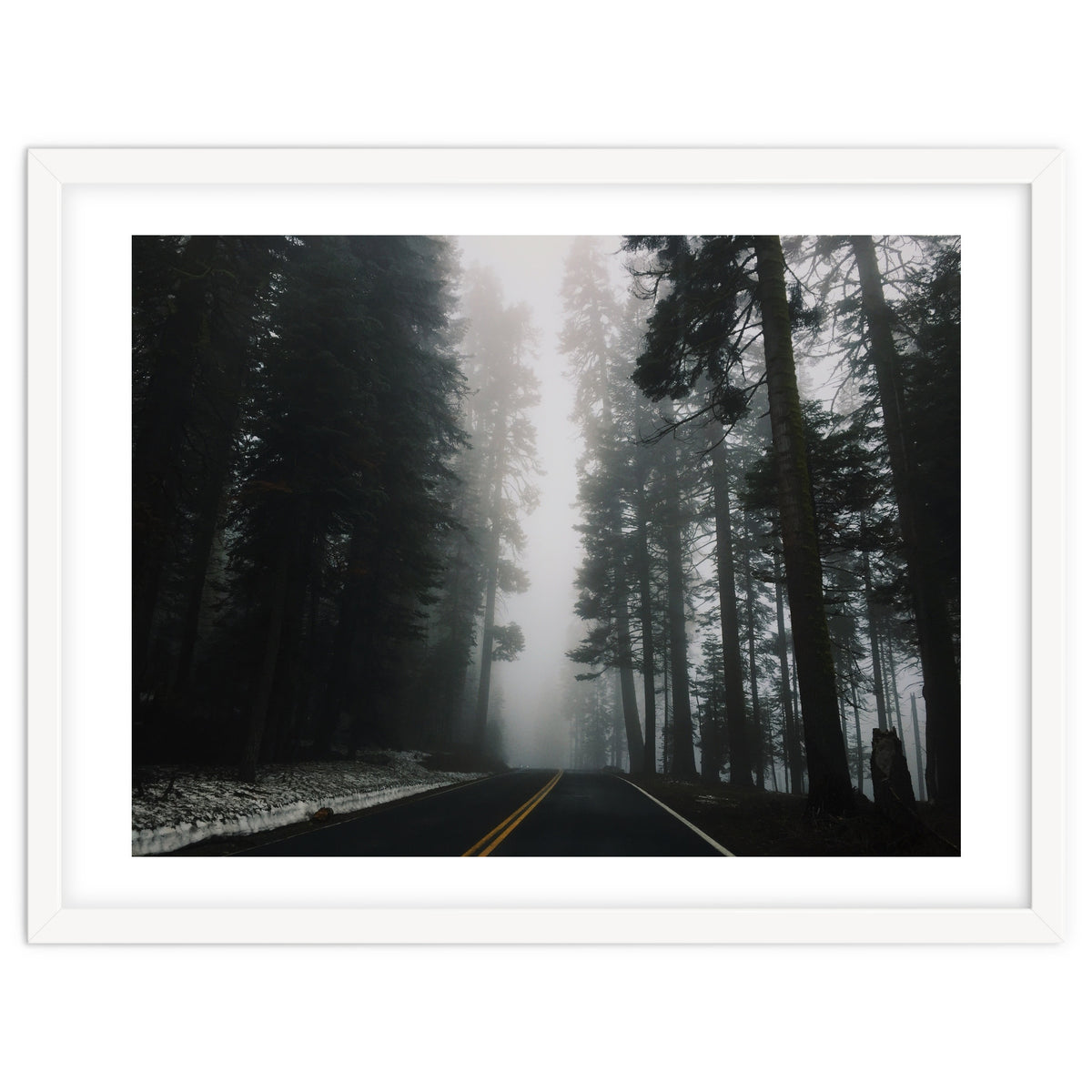 Foggy Yosemite