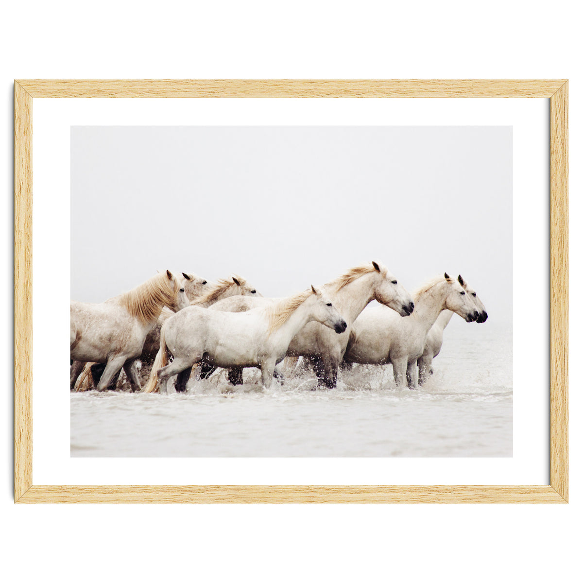 White Horses - Nature Photography