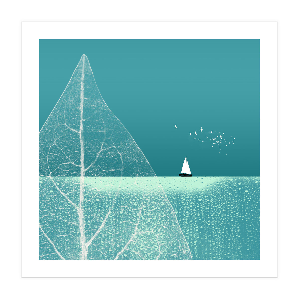 Ocean Wonderland Ii-B  (Print Only)