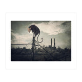 Bicho volador (Print Only) thumbnail