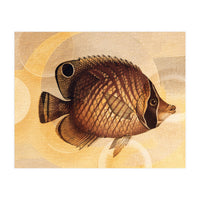 Fish Between Circles 3 (Print Only)