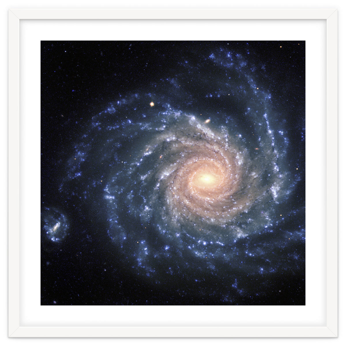 Spiral Galaxy NGC 1232