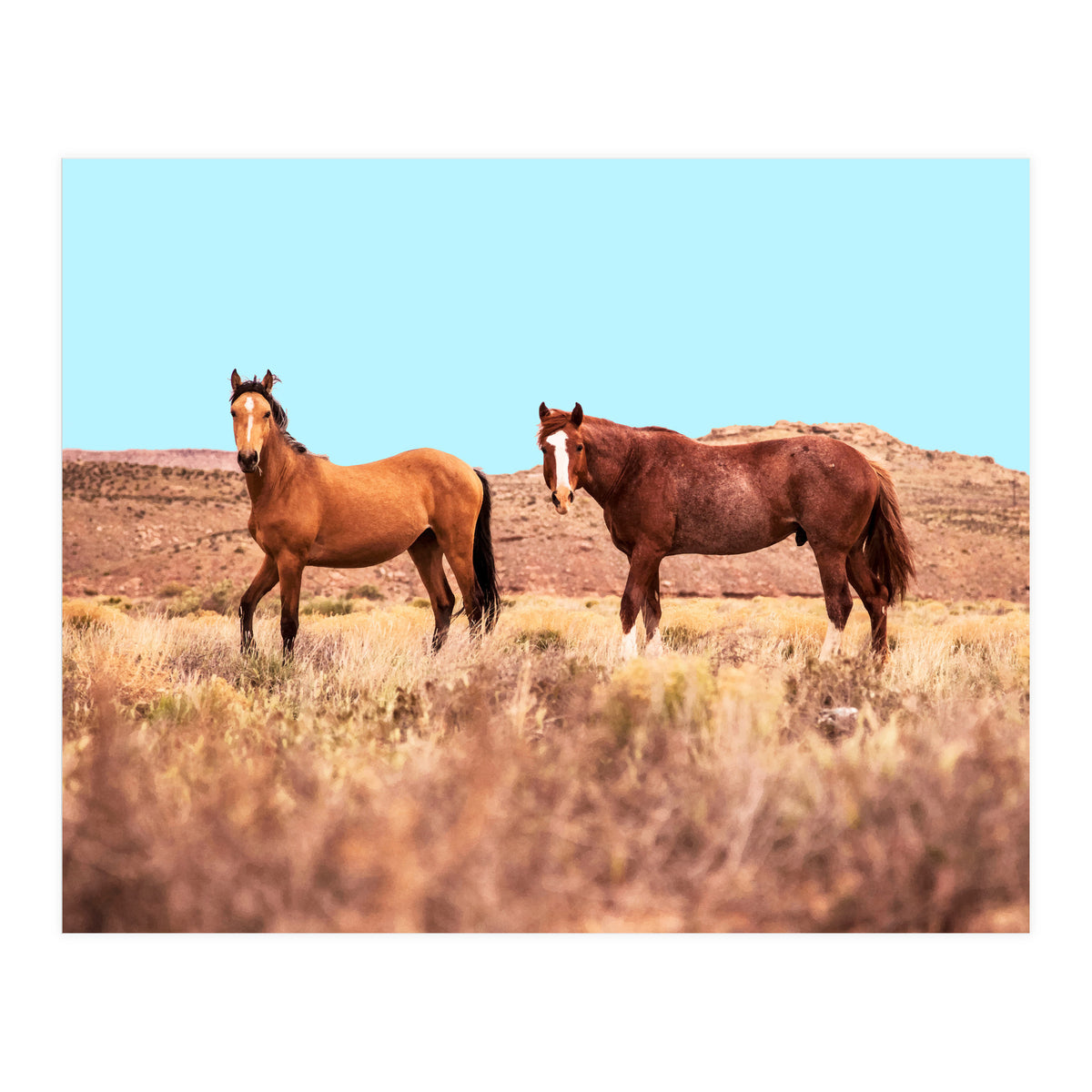 Horses #society6 #decor #buyart (Print Only)