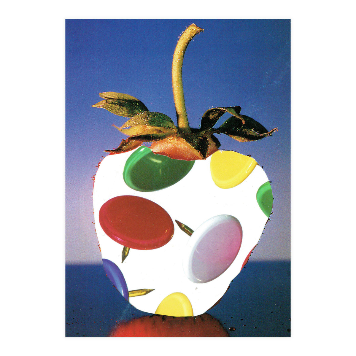 Stachelbeere (Print Only)