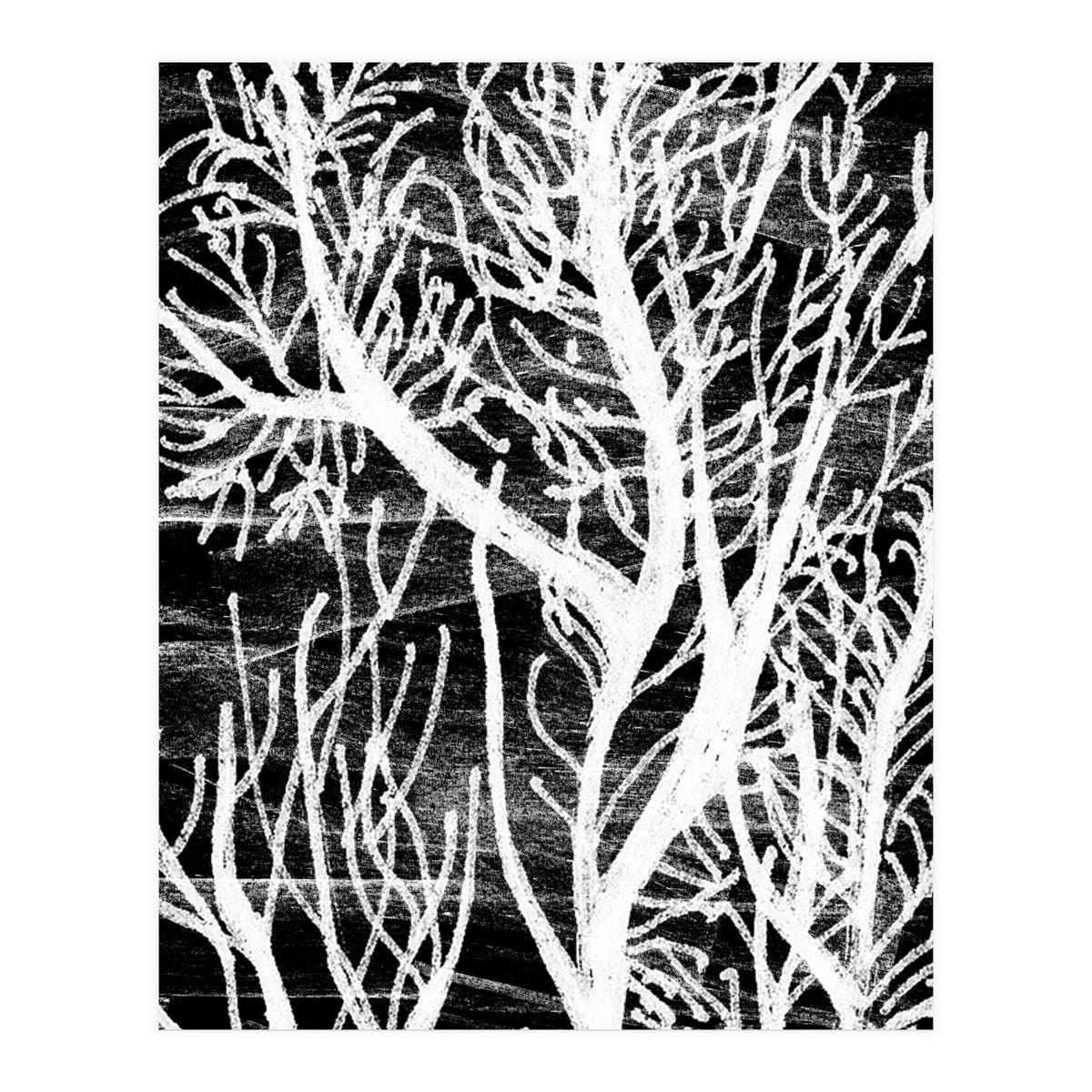 Desert Colours Collection 5 (Print Only)