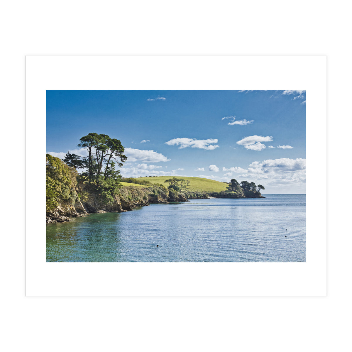 Estuary (Print Only)