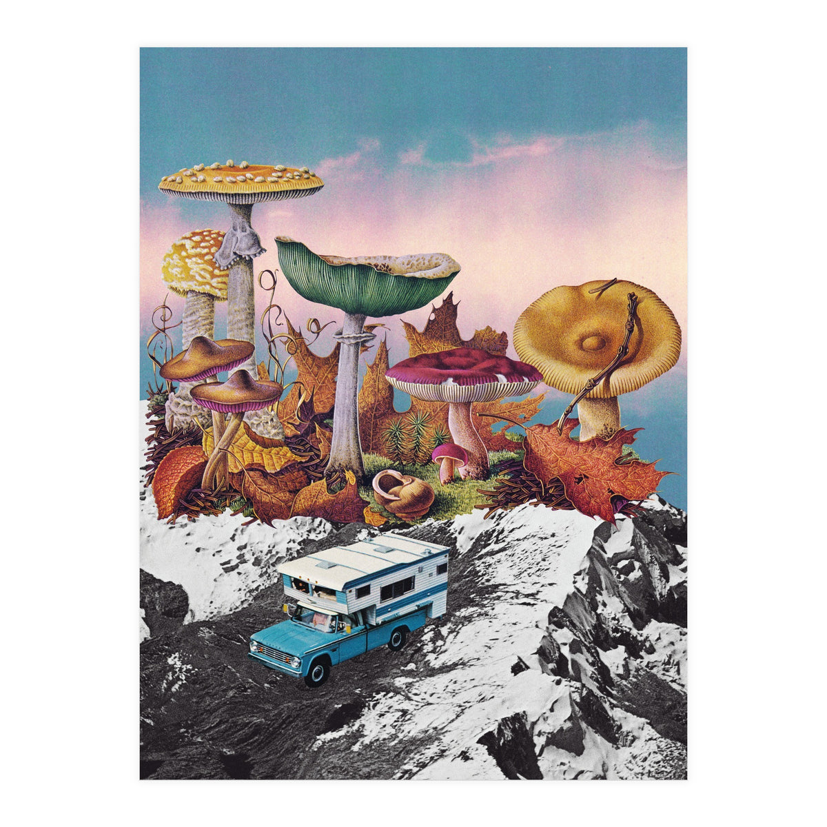 Good Trip (Print Only)